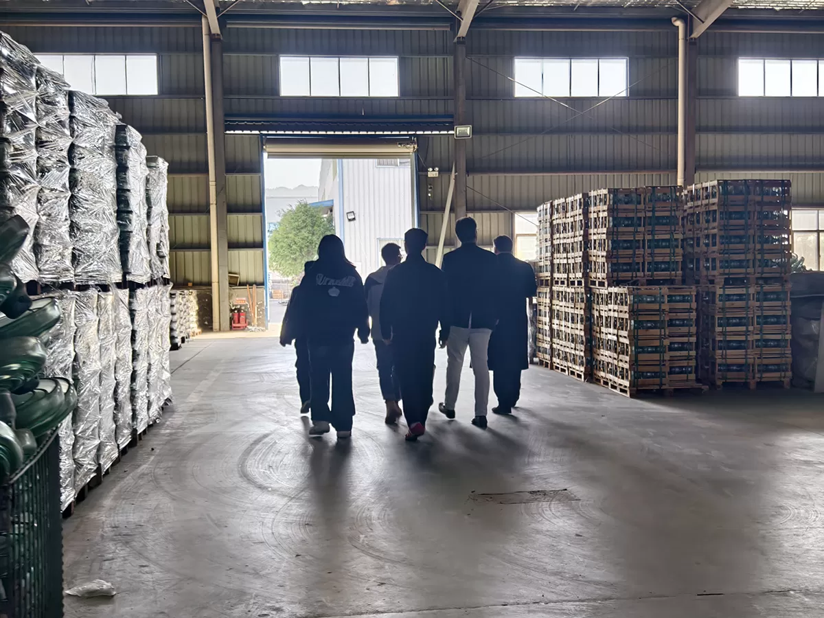 European customers visit Qoci Electric to inspect the glass insulator and porcelain insulator production base(图2) IMG_20251125_125941.jpg