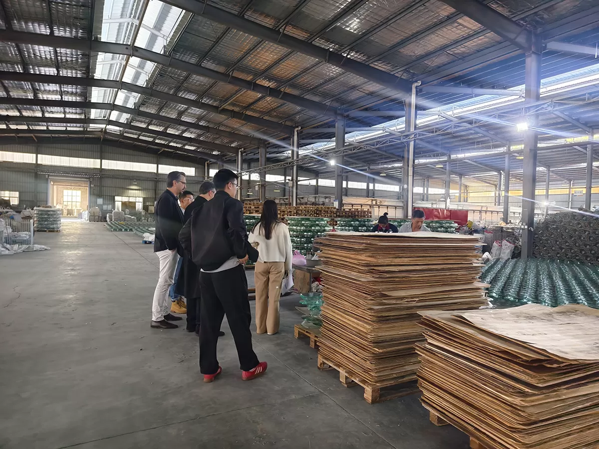 European customers visit Qoci Electric to inspect the glass insulator and porcelain insulator production base(图3) IMG_20251125_131309.jpg