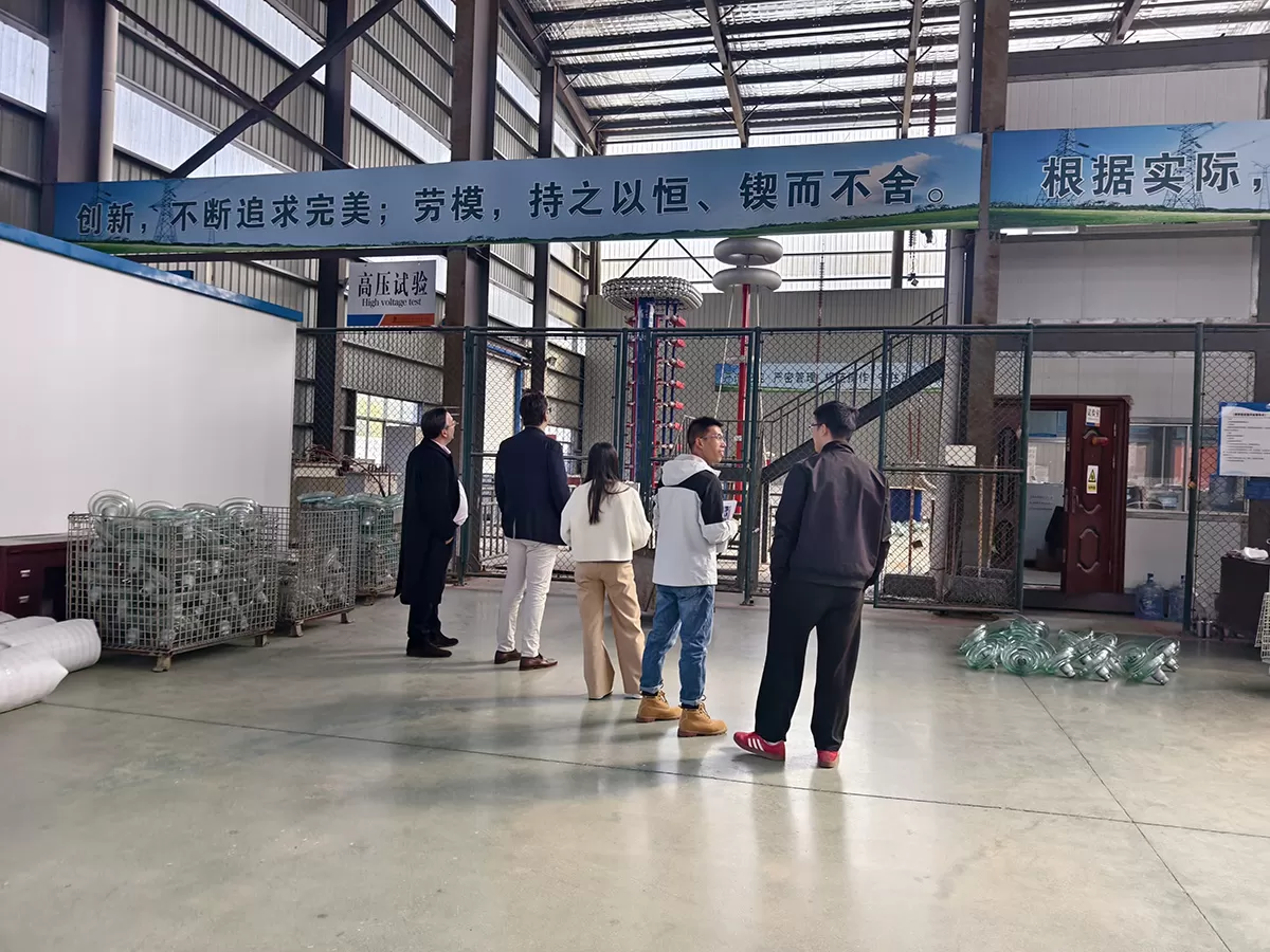 European customers visit Qoci Electric to inspect the glass insulator and porcelain insulator production base(图4) IMG_20251125_132331.jpg