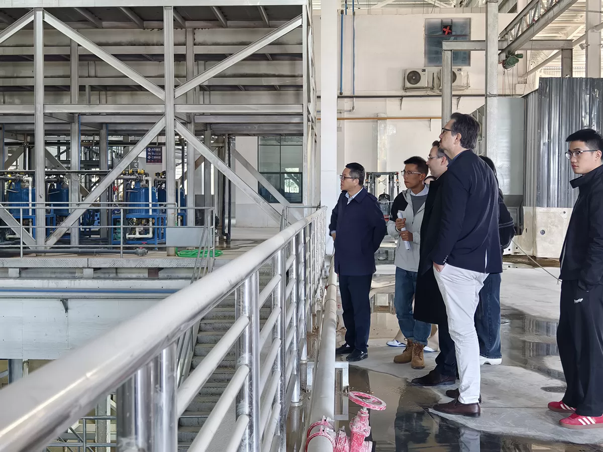 European customers visit Qoci Electric to inspect the glass insulator and porcelain insulator production base(图6) IMG_20251125_134916.jpg
