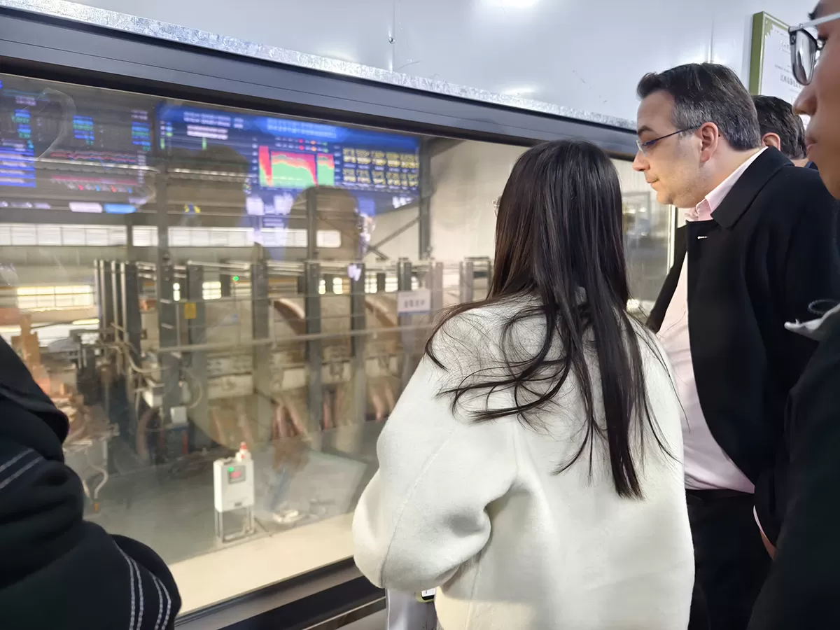 European customers visit Qoci Electric to inspect the glass insulator and porcelain insulator production base(图10) IMG_20251125_142353.jpg